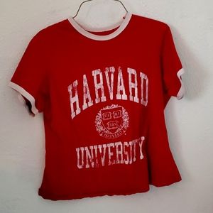 Red T-shirt (size:L)